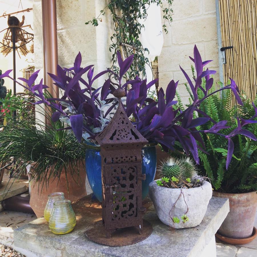 Casa Della Scrittrice Panzió Ostuni Kültér fotó
