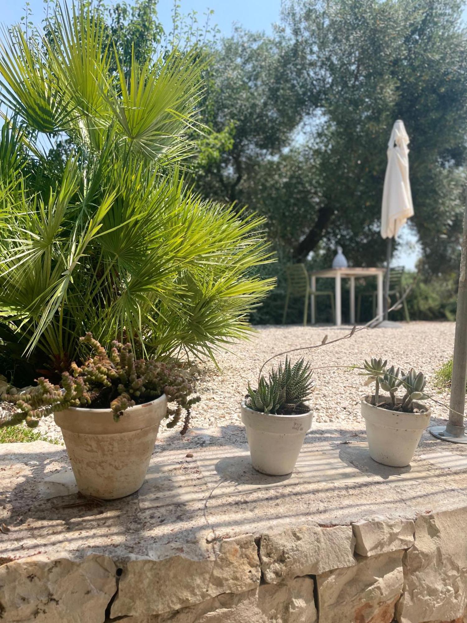 Casa Della Scrittrice Panzió Ostuni Szoba fotó