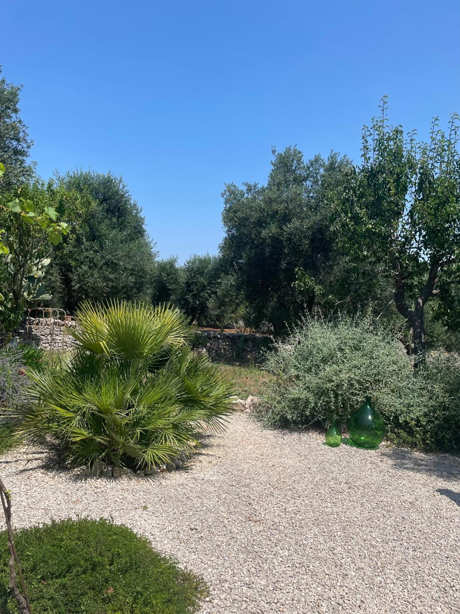 Casa Della Scrittrice Panzió Ostuni Szoba fotó